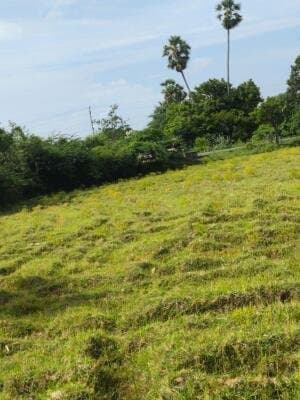Farm house for sale - Thirukalukundram chennai