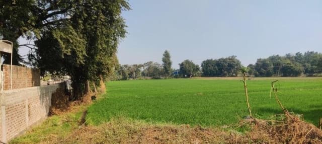 Commercial land and plot for rent in indore