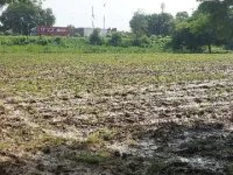 agriculturalfarm-land-for-lease-in-nigoha-lucknow-u-p
