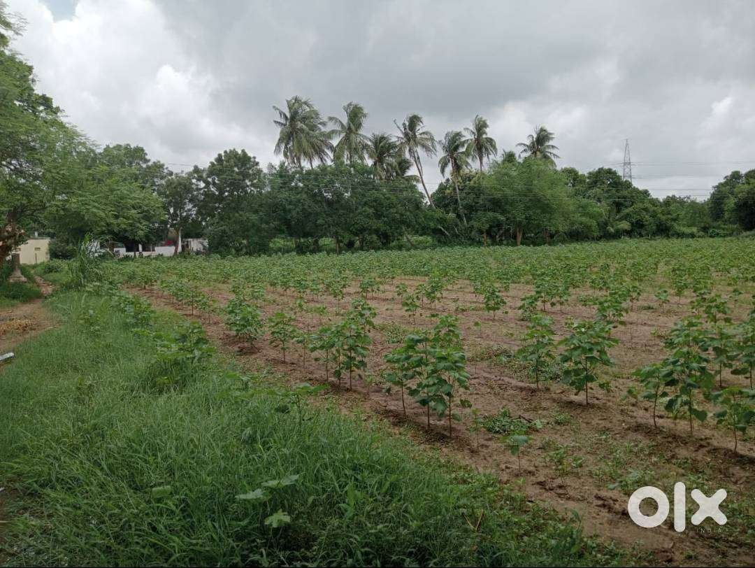 agriculture-land-to-be-sold-at-prime-location-on-padra-jambusar-road-big-2