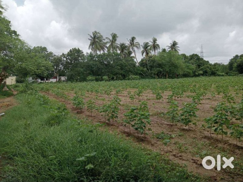 agriculture-land-to-be-sold-at-prime-location-on-padra-jambusar-road-small-2