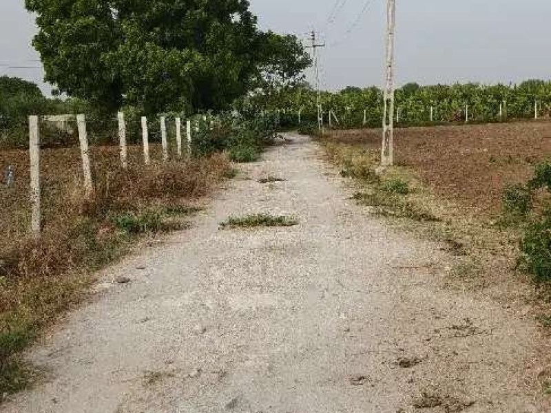 land-sale-for-farming