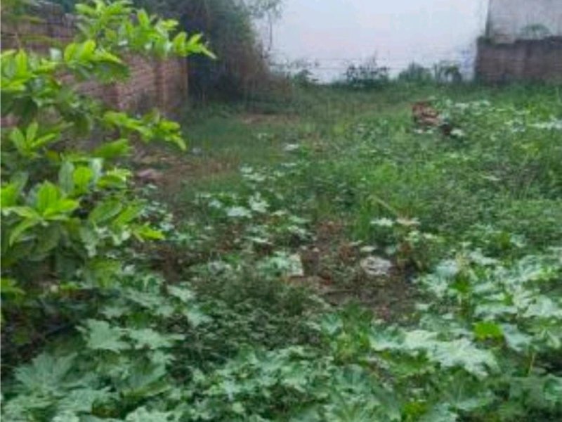 residential-land-for-sale-and-plot-for-sale-prime-residential-land-and-plots