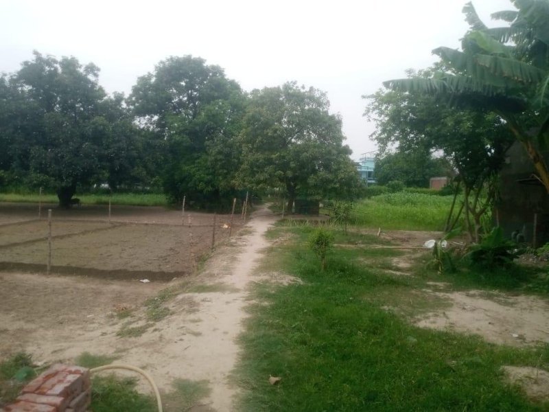 commercial-landinst-land-for-lease-in-sarojini-nagar-lucknow-u-p