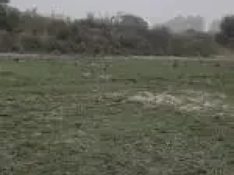 commercial-landinst-land-for-sale-in-sector-143b-noida
