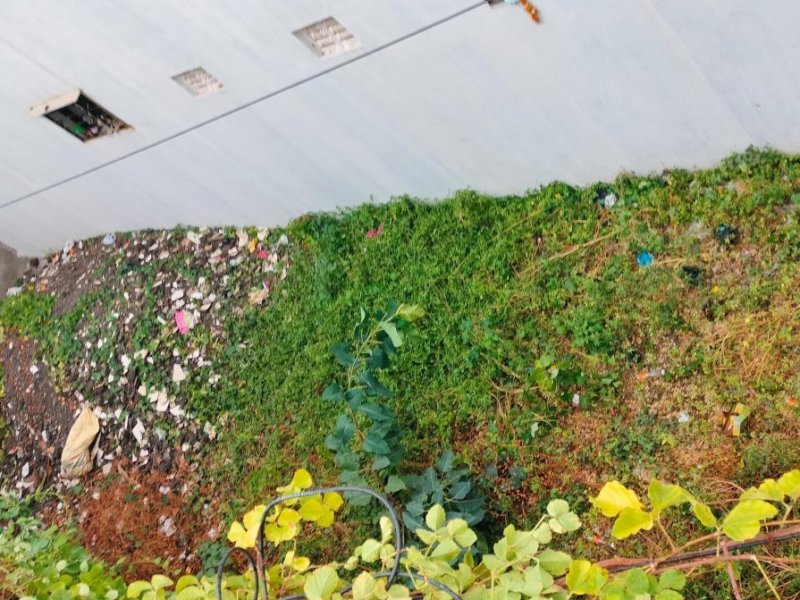 residential-landplot-for-sale-surat