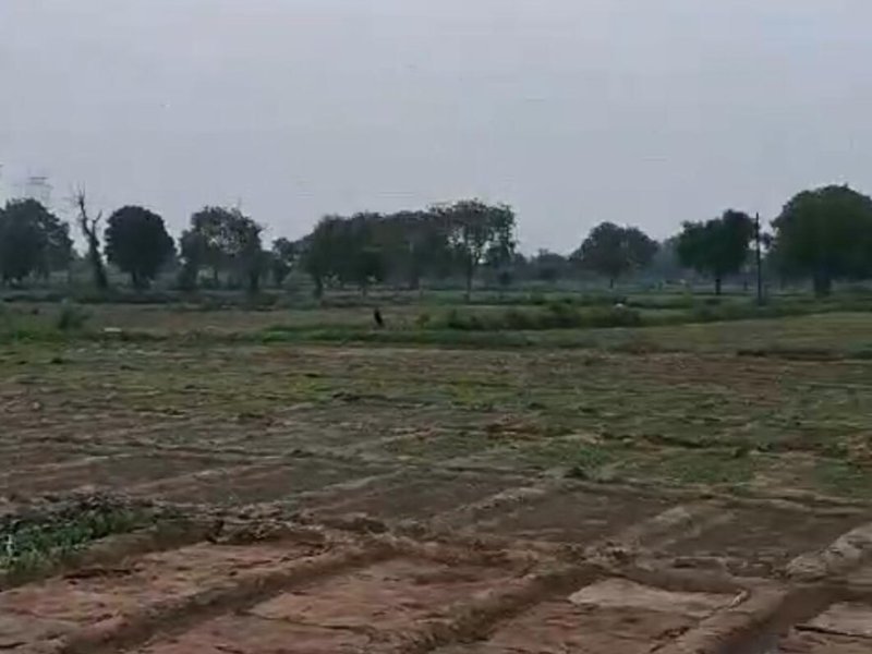 agriculturalfarm-land-for-sale-in-fatehabad-road-agra-u-p