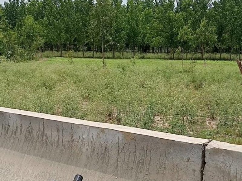 commercial-landinst-land-for-sale-in-plot-bareilly-u-p