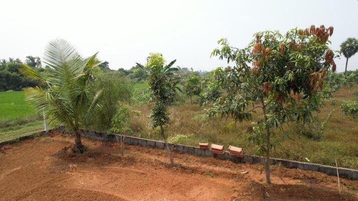 farm-house-for-sale-thirukalukundram-chennai-big-2