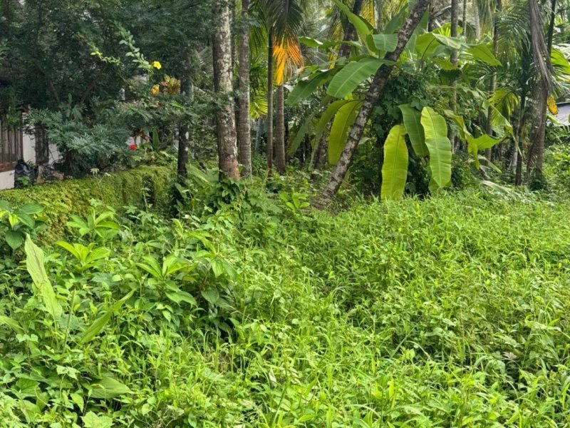 commercial-plot-for-rent-kozhikode